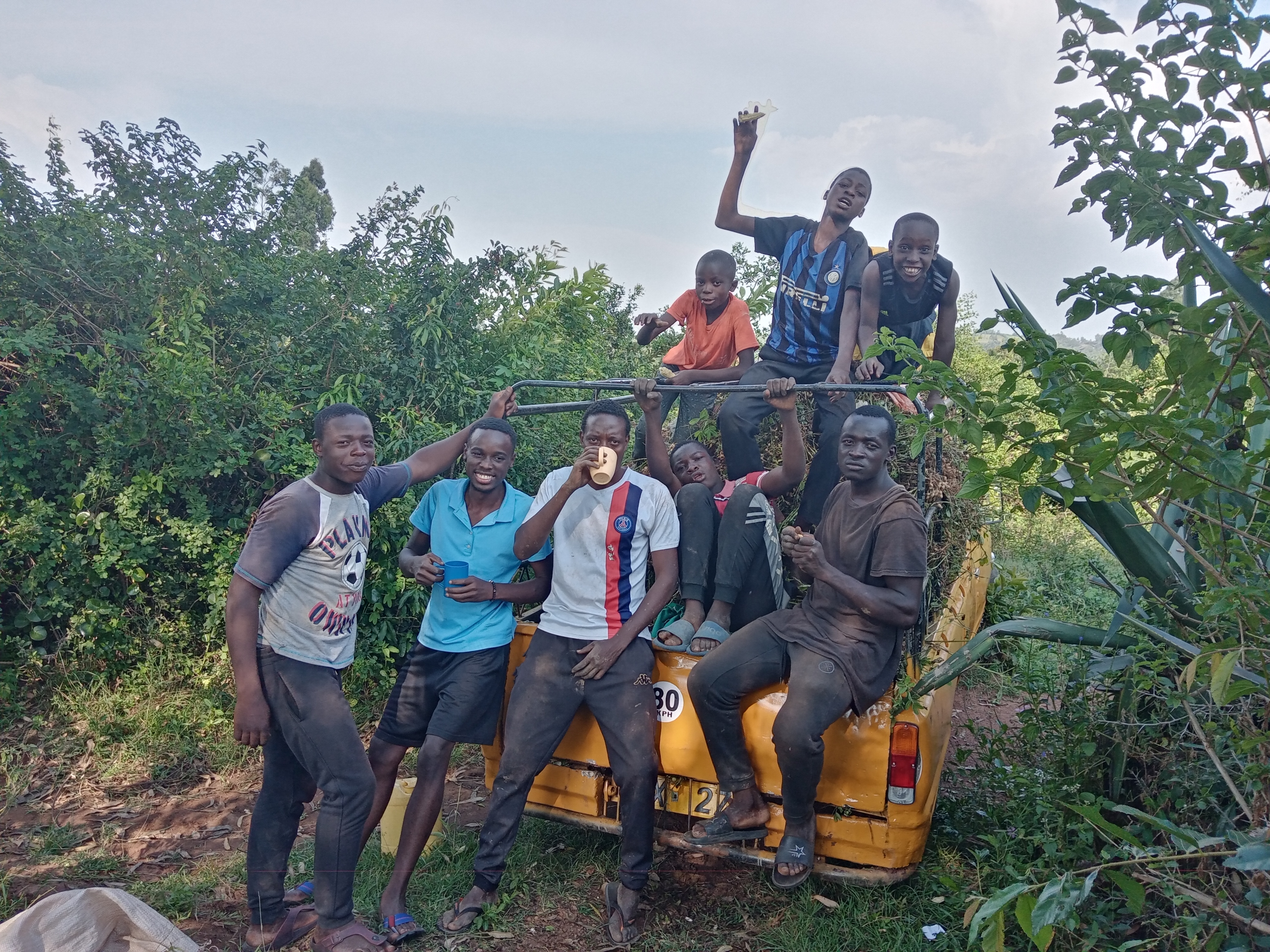 image of a harvest